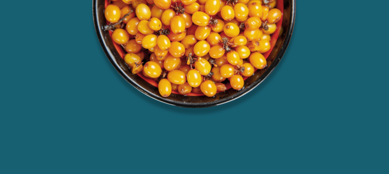 Prevention Is 
Better Than Cure 
With Sea Buckthorn 